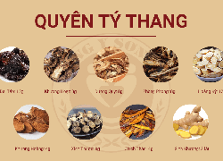 Quyên Tý Thang - Bí quyết trị đau mỏi vai gáy hiệu quả nhanh chóng